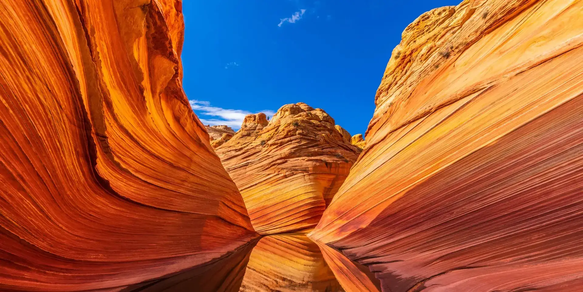 Aspectos Geológicos